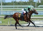 First Winner for Caleb's Posse at Gulfstream First Winner for Caleb's Posse at Gulfstream