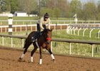 Nyquist Straightforward in Morning Gallop Nyquist Straightforward in Morning Gallop