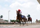 Go Maggie Go wins Gulfstream Park Oaks