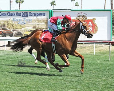 Red Zeus thunders home in the Dwight D. Patterson Handicap in Turf Paradise.
