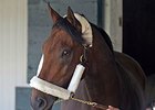 Nyquist