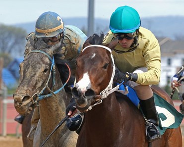 R C's Daisyduke triumphs in the Its Binn Too Long Stakes at Hollywood Casino at Charles Town Races.