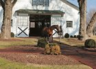 Spendthrift Farm Sets 2017 Fees Spendthrift Farm Sets 2017 Fees