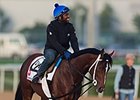 Mshawish Bound for Belmont, Summer Campaign Mshawish Bound for Belmont, Summer Campaign