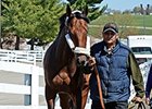 Undefeated Nyquist Arrives at Keeneland Undefeated Nyquist Arrives at Keeneland