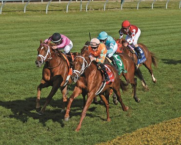 Da Big Hoss continued his good form in long turf races when he secured his second graded stakes win of the season going 1 1/2 miles on the grass in the $250,000 Dixiana Elkhorn Stakes (gr. II) at Keeneland.