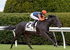 Shakhimat comes home strong to win the Transylvania.<br><a target="blank" href="http://photos.bloodhorse.com/AtTheRaces-1/At-the-Races-2016/i-vBnDStF">Order This Photo</a>