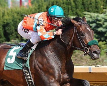 Dig Deep buries his opponents in the Robert Hilton Memorial Stakes at Hollywood Casino at Charles Town Races.