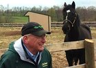 War Emblem and Michael Blowen at Old Friends