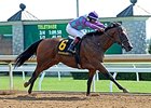 Ami's Flatter Decisive Commonwealth Winner Ami's Flatter Decisive Commonwealth Winner