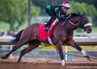 Maiden Trojan Nation Seeks Derby Upset Maiden Trojan Nation Seeks Derby Upset