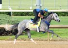 Mohaymen Wows in First Churchill Work Mohaymen Wows in First Churchill Work