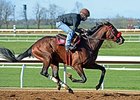 American Dubai Works at Keeneland American Dubai Works at Keeneland