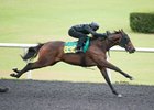 Three Share Fastest OBS Work Times Three Share Fastest OBS Work Times