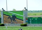 Probable Derby favorite Nyquist was based at Keeneland for about a month