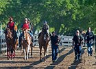 Horses head to the track at the OBS under-tack show.