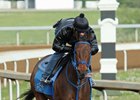 Cathryn Sophia Possible for Oaks Cathryn Sophia Possible for Oaks