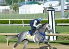Mohaymen Sitting on Go for Kentucky Derby Mohaymen Sitting on Go for Kentucky Derby