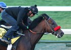 Nyquist Breeze Set for Friday at Keeneland Nyquist Breeze Set for Friday at Keeneland