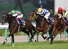 Jeweler wins the Oka Sho.
<br><a target="blank" href="http://photos.bloodhorse.com/AtTheRaces-1/At-the-Races-2016/i-d2PxDKw">Order This Photo</a>