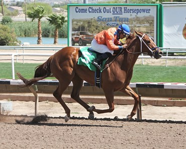 Lieutenant Margie is crowned the victor in the Joanne Dye Stakes at Turf Paradise.