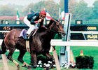 Inside Information is all alone at the wire in the 1995 Breeders' Cup Distaff at Belmont Park