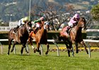 Alert Bay (right) wins the San Francisco Mile Stakes April 30