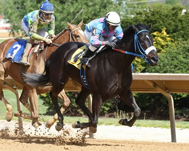 Candy Man's Girl shines in the Original Gold Stakes at Hollywood Casino at Charles Town Races.
