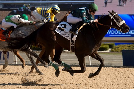 R U Watchingbud takes the New Providence Stakes at Woodbine.