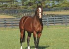 Union Rags' Fee Increases For 2017 Union Rags' Fee Increases For 2017