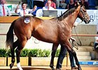 Lot 285, a colt by Redoute's Choice, brought Aus$1,800,000 (about $1,360,930).
