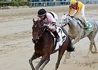 Lewis Bay get the victory in the Gazelle Stakes.<br><a target="blank" href="http://photos.bloodhorse.com/AtTheRaces-1/At-the-Races-2016/i-DcDjfpz">Order This Photo</a>