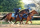 Untapable, Whitmore Breeze at Oaklawn Untapable, Whitmore Breeze at Oaklawn