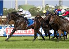Coolmore Sets 2016 Australian Stud Fees Coolmore Sets 2016 Australian Stud Fees