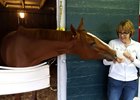 Multiple grade 1 winner I'm a Chatterbox and Carolyn Gray