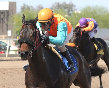 J P Rocker captures the Lyman and Bradley Rollins Handicap at Turf Paradise.