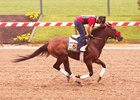 Nyquist - Pimlico, May 13, 2016