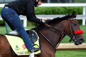 Nyquist Solid Favorite in Early Wagering