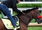 Nyquist Solid Favorite in Early Wagering Nyquist Solid Favorite in Early Wagering
