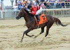 Weekend Hideaway winning last year's Commentator Stakes