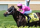 Rocket Heat wins the 2016 Twin Spires Turf Sprint Stakes.