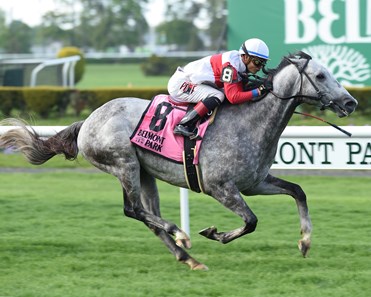 Ironicus wins the 2016 Fort Marcy.