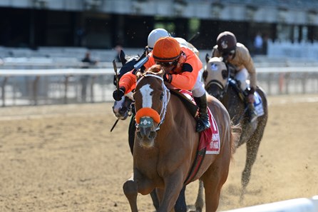 Turco Bravo wins the 2016 Flat Out Stakes.