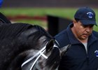 Mohaymen has not raced since an off-the-board finish in the Aug. 27 King’s Bishop
