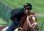 Oscar Nominated, 'Jagger' Seek Turf Glory Oscar Nominated, 'Jagger' Seek Turf Glory
