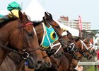 Just after the start of the 44th Running of the Hilltop Stakes at Pimlico on May 20, 2016.
