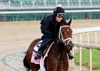Rachel's Valentina 7-2 Oaks Favorite Rachel's Valentina 7-2 Oaks Favorite