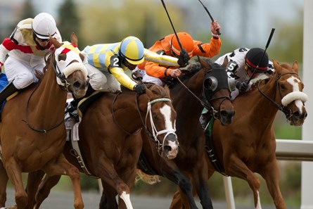 Jockey Gary Boulanger skips thru on the inside rail (white silks) aboard Thatlookonyerface to outduel (R-L) #1 Bear'sway,#2 Greatest Game and #3 Dragon Bay, to capture the 2016 Marine Stakes at Woodbine Racetrack.Thatlookonyerface is owned by Dominion Bloodstock and Barrym Butzer and trained by Dave Cotey.