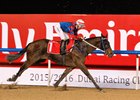 Gun Pit ran second behind Special Fighter in the 2016 Al Maktoum Challenge Round 3