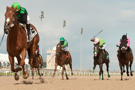 Woodbine Racetrack Jockey Huber Villa-Gomez guides Cactus Kris to victory in the $150,000 dollar Hendrie Stakes at Woodbine Racetrack May 8, 2016.